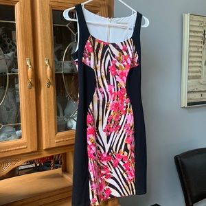 NWT, Sheath Dress